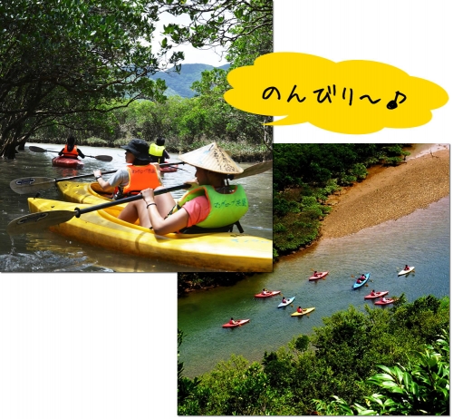 マングローブカヌー　住用